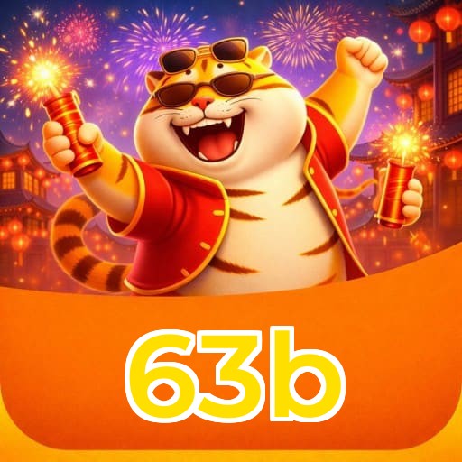 63b Installation